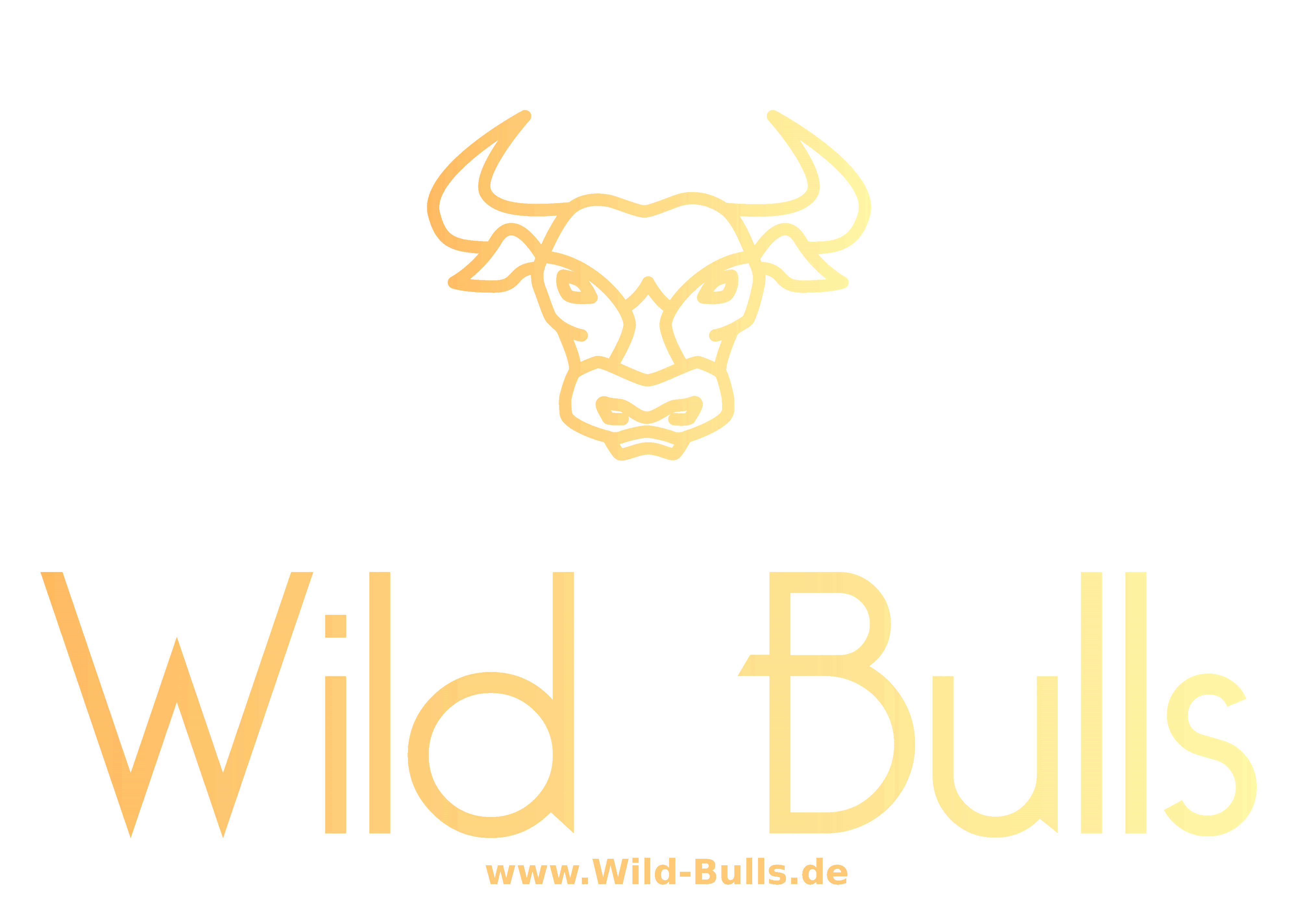 Logo Wild Bulls Coverband